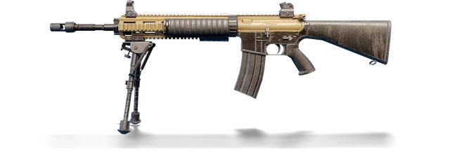Mk12, DMR PUBG Mobile